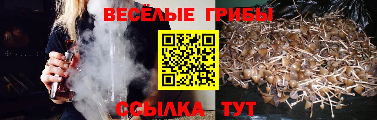 Пенза  Галлюциногенные грибы мицелий  Вход с VPN  Псилоцибиновые грибы Cubensis 